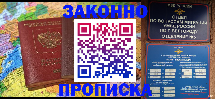 временная регистрация гарантия в Владимире